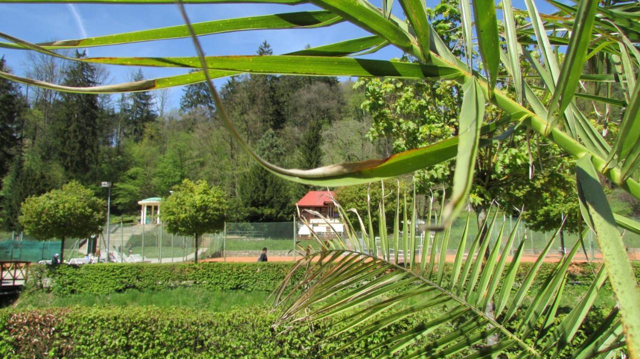 Apartmany Luha Luhacovice Bagian luar foto