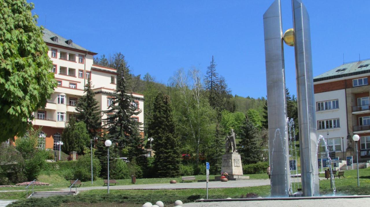Apartmany Luha Luhacovice Bagian luar foto
